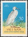 Pacific Reef Heron (Egretta sacra)